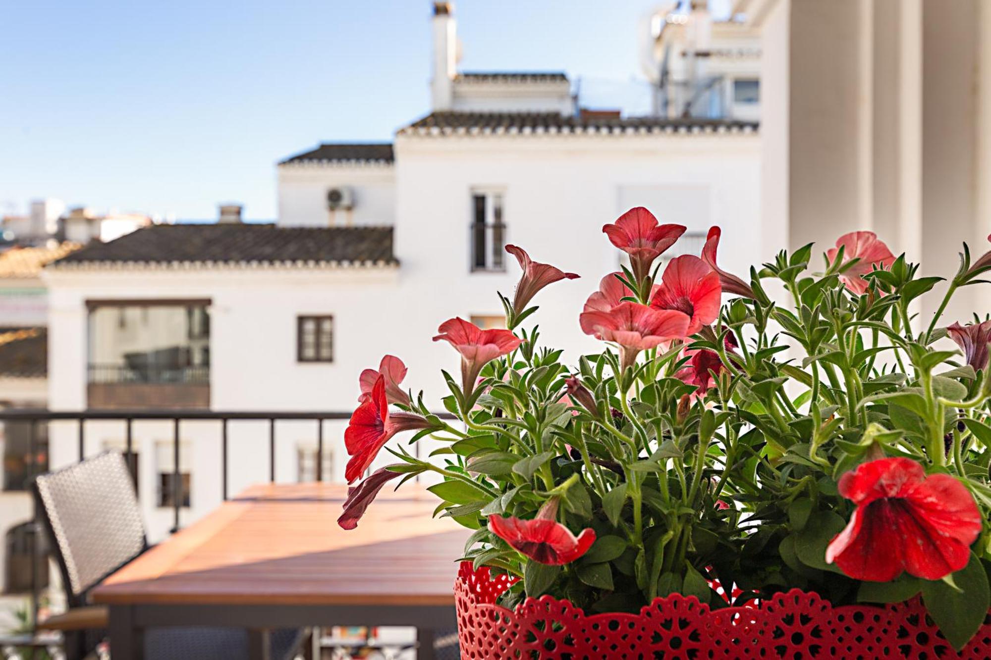 Duquesa Port Studio Apartment - Bright Sunlit Terrace Manilva Luaran gambar